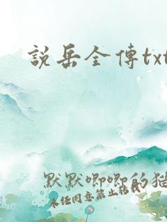 说岳全传txt