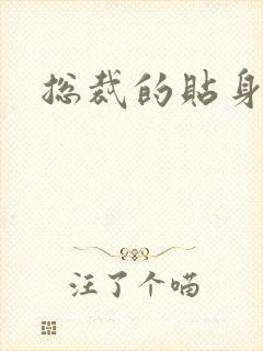 总裁的贴身女佣