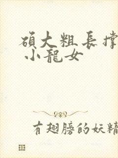 硕大粗长撑裂了 小龙女