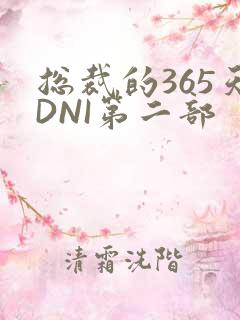 总裁的365天DNI第二部