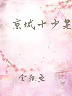 京城十少是谁