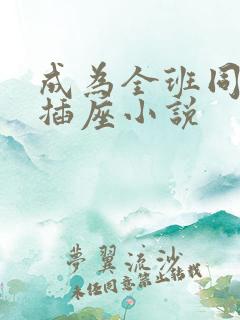 成为全班同学的插座小说