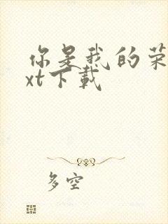 你是我的荣耀txt下载