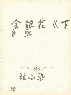 金银花《下厨房》车