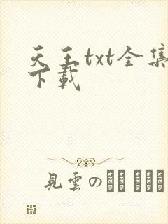 天王txt全集下载