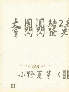 大团圆结2亲情会闪闪发光目录