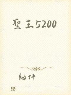 圣王5200