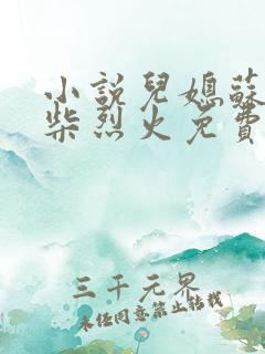 小说儿媳苏玥干柴烈火免费阅读