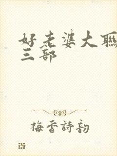 好老婆大联盟第三部