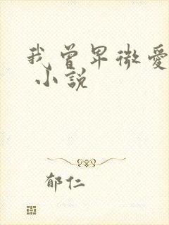 我曾卑微爱过你 小说