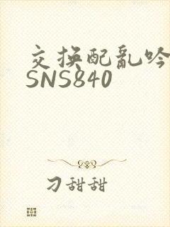 交换配乱吟粗大SNS840