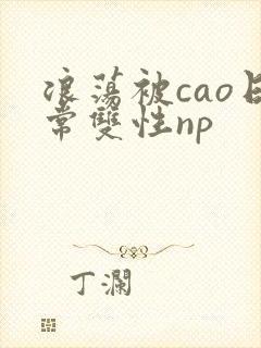 浪荡被cao日常双性np