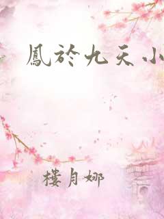 凤于九天小说