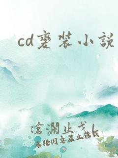 cd变装小说