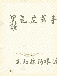 黑色皮革手册小说