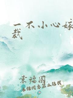 一不小心嫁给总裁