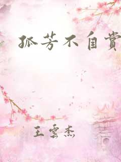 孤芳不自赏小说