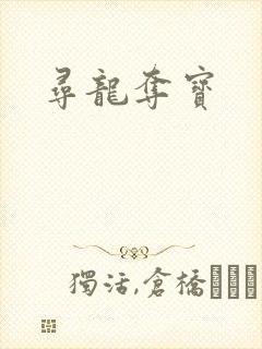 寻龙夺宝