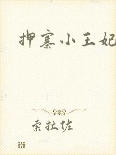 押寨小王妃