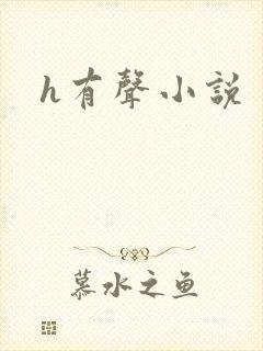 h有声小说