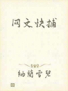 网文快捕