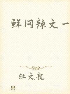 鲜网辣文一对一