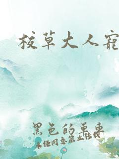 校草大人宠上瘾