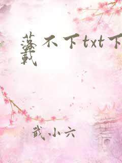 落不下txt下载