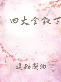 四大金钗下载