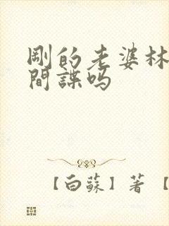 刚的老婆林彦是间谍吗