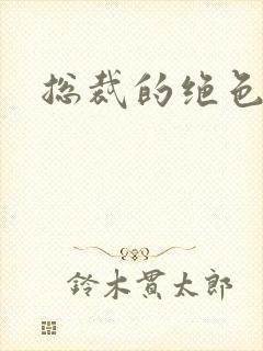 总裁的绝色娇妻