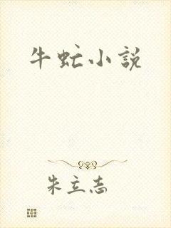 牛虻小说