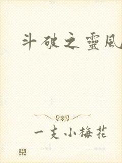 斗破之灵风