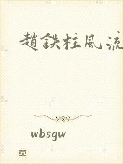 赵铁柱风流小说