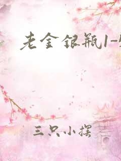老金银瓶1-5