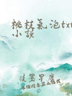 桃枝气泡txt小说