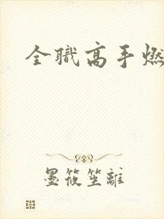 全职高手燃文
