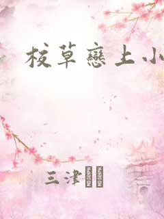 校草恋上小丫头