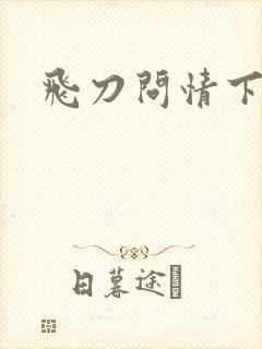 飞刀问情下载
