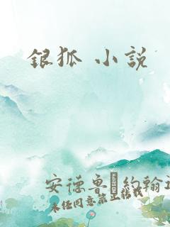 银狐 小说