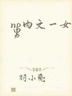 np肉文一女多男