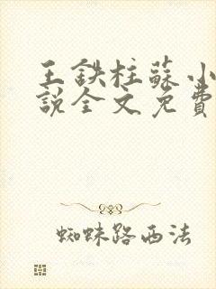 王铁柱苏小汐小说全文免费阅读最新章节