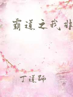 霸道之我非英雄