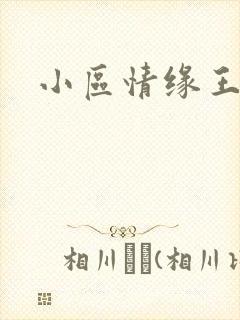 小区情缘王丽萍