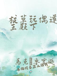 校草玩偶遵命公主殿下