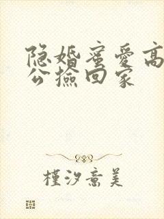 隐婚蜜爱高冷老公捡回家