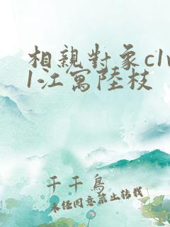 相亲对象c1v1江寓陆枝