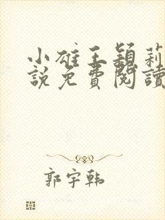 小雄王颖莉的小说免费阅读全文