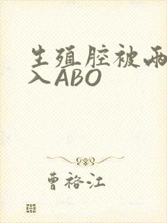 生殖腔被两根进入ABO