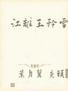 江离王矜雪小说